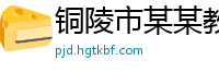 铜陵市某某教育科技运营部
